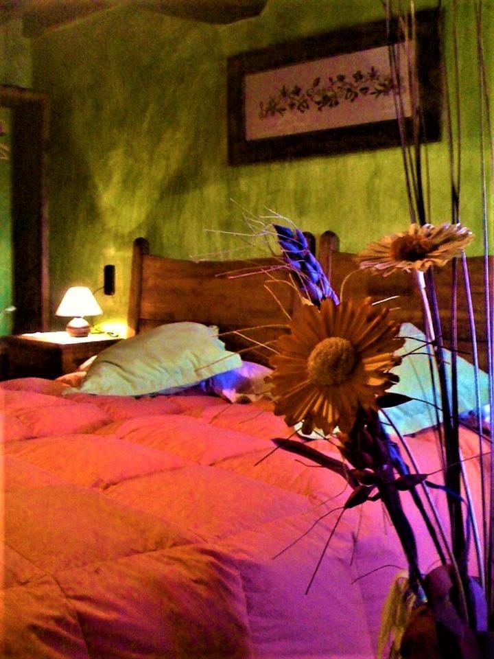 Casa Rural Amparo モガラス エクステリア 写真